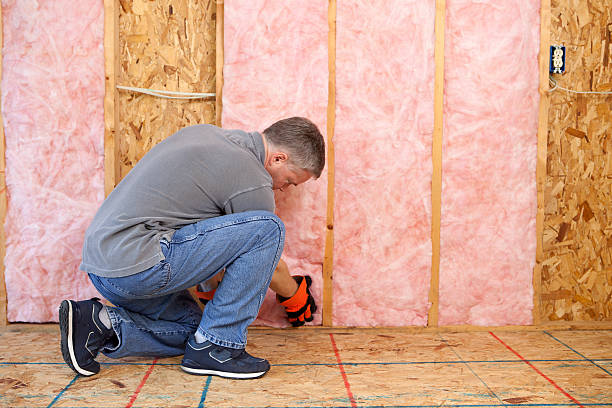 Best Fiberglass Insulation in Southside Place, TX