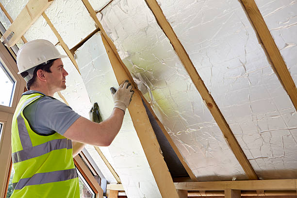 Best Specialized Insulation Services in Southside Place, TX