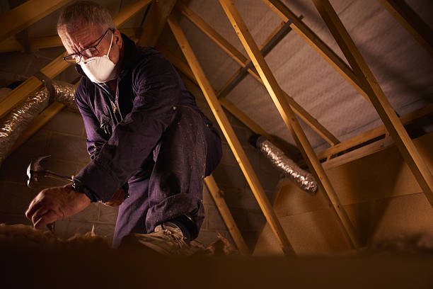 Best Eco-Friendly Insulation in Southside Place, TX
